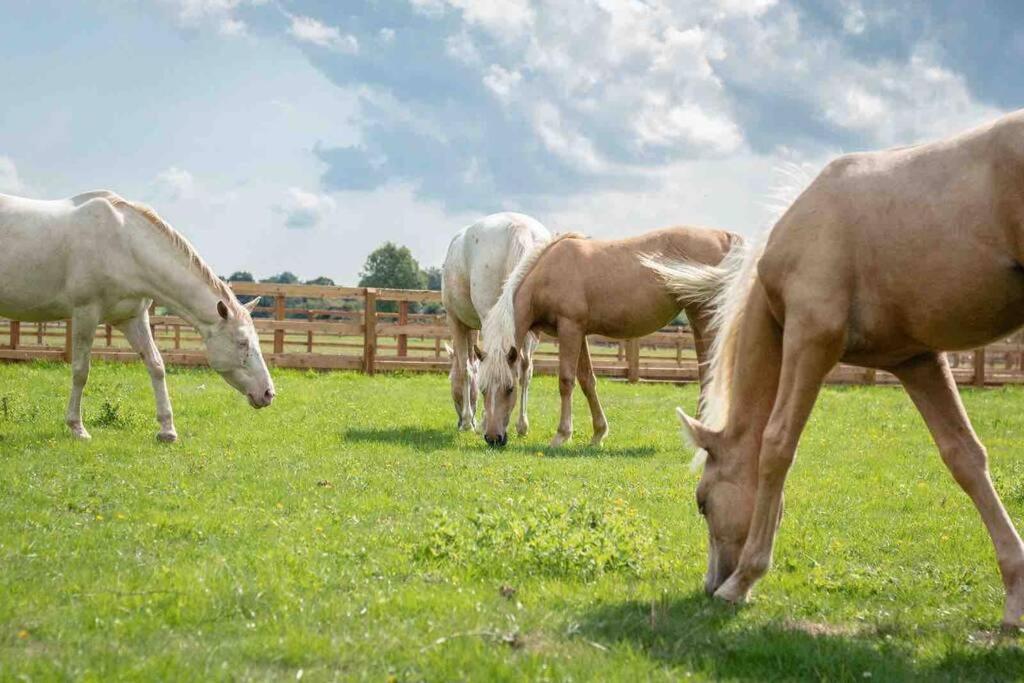 Langford Farmhouse - New Forest National Park Luxury 4Bd, Hot Tub, Cinema, 10 Acres Bartley Luaran gambar