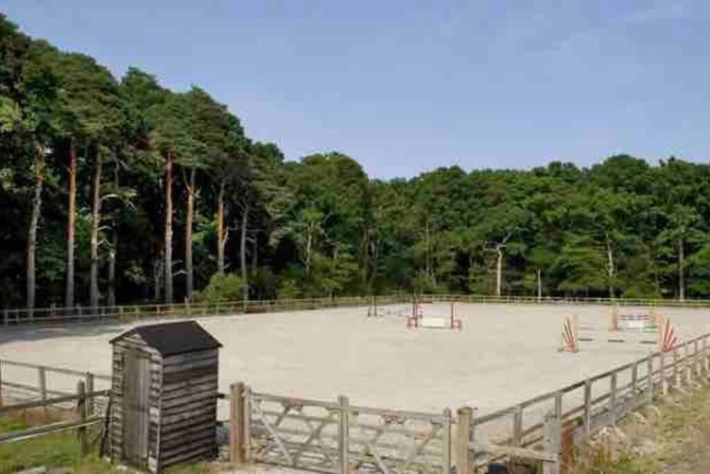 Langford Farmhouse - New Forest National Park Luxury 4Bd, Hot Tub, Cinema, 10 Acres Bartley Luaran gambar