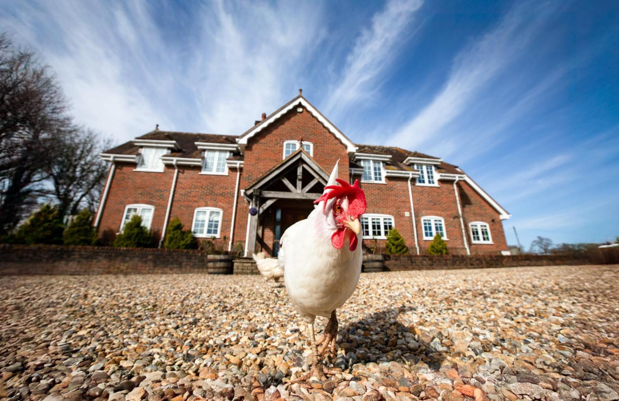 Langford Farmhouse - New Forest National Park Luxury 4Bd, Hot Tub, Cinema, 10 Acres Bartley Luaran gambar