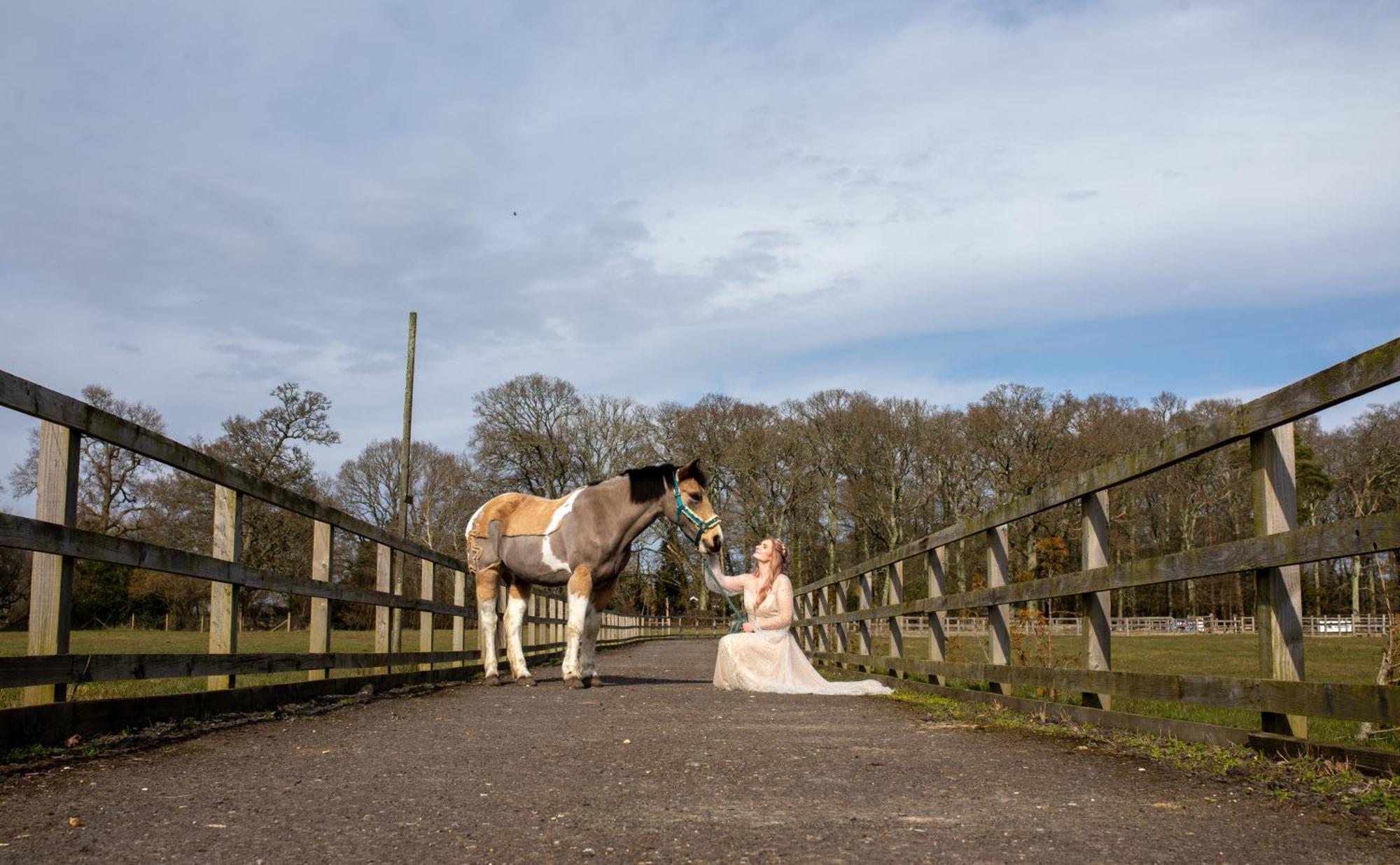 Langford Farmhouse - New Forest National Park Luxury 4Bd, Hot Tub, Cinema, 10 Acres Bartley Luaran gambar